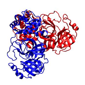 Structure preview of Folding@home molecular dynamics simulations of Diamond Light Source / XChem X-ray structures of small molecule inhibitors of the SARS-CoV-2 main protease from the COVID Moonshot; project 13436, run 118