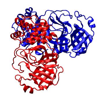 Structure preview of Folding@home molecular dynamics simulations of Diamond Light Source / XChem X-ray structures of small molecule inhibitors of the SARS-CoV-2 main protease from the COVID Moonshot; project 13436, run 120