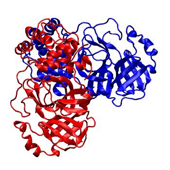 Structure preview of Folding@home molecular dynamics simulations of Diamond Light Source / XChem X-ray structures of small molecule inhibitors of the SARS-CoV-2 main protease from the COVID Moonshot; project 13436, run 121
