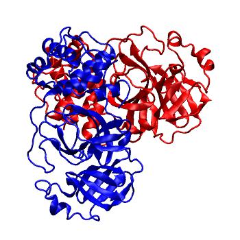 Structure preview of Folding@home molecular dynamics simulations of Diamond Light Source / XChem X-ray structures of small molecule inhibitors of the SARS-CoV-2 main protease from the COVID Moonshot; project 13436, run 129