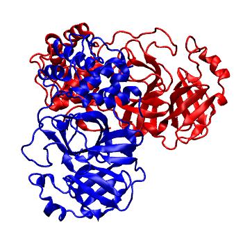 Structure preview of Folding@home molecular dynamics simulations of Diamond Light Source / XChem X-ray structures of small molecule inhibitors of the SARS-CoV-2 main protease from the COVID Moonshot; project 13436, run 12