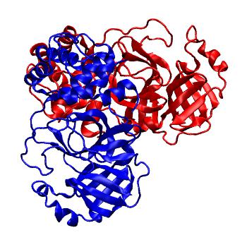 Structure preview of Folding@home molecular dynamics simulations of Diamond Light Source / XChem X-ray structures of small molecule inhibitors of the SARS-CoV-2 main protease from the COVID Moonshot; project 13436, run 131