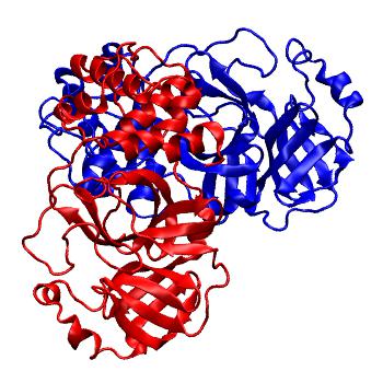 Structure preview of Folding@home molecular dynamics simulations of Diamond Light Source / XChem X-ray structures of small molecule inhibitors of the SARS-CoV-2 main protease from the COVID Moonshot; project 13436, run 137