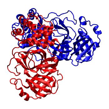 Structure preview of Folding@home molecular dynamics simulations of Diamond Light Source / XChem X-ray structures of small molecule inhibitors of the SARS-CoV-2 main protease from the COVID Moonshot; project 13436, run 13