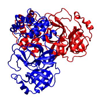 Structure preview of Folding@home molecular dynamics simulations of Diamond Light Source / XChem X-ray structures of small molecule inhibitors of the SARS-CoV-2 main protease from the COVID Moonshot; project 13436, run 141
