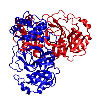 Structure preview of Folding@home molecular dynamics simulations of Diamond Light Source / XChem X-ray structures of small molecule inhibitors of the SARS-CoV-2 main protease from the COVID Moonshot; project 13436, run 144