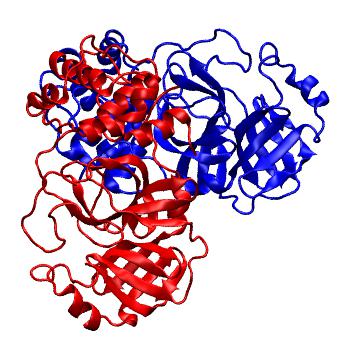 Structure preview of Folding@home molecular dynamics simulations of Diamond Light Source / XChem X-ray structures of small molecule inhibitors of the SARS-CoV-2 main protease from the COVID Moonshot; project 13436, run 146