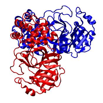 Structure preview of Folding@home molecular dynamics simulations of Diamond Light Source / XChem X-ray structures of small molecule inhibitors of the SARS-CoV-2 main protease from the COVID Moonshot; project 13436, run 148