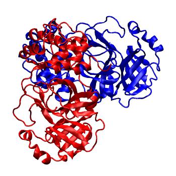 Structure preview of Folding@home molecular dynamics simulations of Diamond Light Source / XChem X-ray structures of small molecule inhibitors of the SARS-CoV-2 main protease from the COVID Moonshot; project 13436, run 149