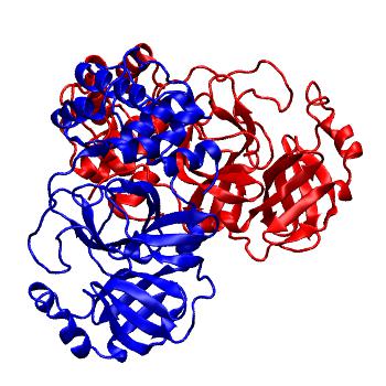 Structure preview of Folding@home molecular dynamics simulations of Diamond Light Source / XChem X-ray structures of small molecule inhibitors of the SARS-CoV-2 main protease from the COVID Moonshot; project 13436, run 14