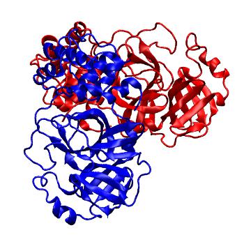 Structure preview of Folding@home molecular dynamics simulations of Diamond Light Source / XChem X-ray structures of small molecule inhibitors of the SARS-CoV-2 main protease from the COVID Moonshot; project 13436, run 150