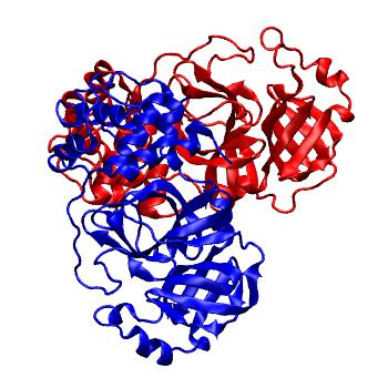 Structure preview of Folding@home molecular dynamics simulations of Diamond Light Source / XChem X-ray structures of small molecule inhibitors of the SARS-CoV-2 main protease from the COVID Moonshot; project 13436, run 153