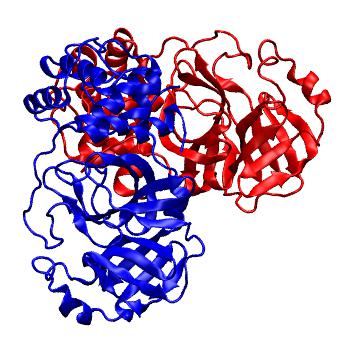 Structure preview of Folding@home molecular dynamics simulations of Diamond Light Source / XChem X-ray structures of small molecule inhibitors of the SARS-CoV-2 main protease from the COVID Moonshot; project 13436, run 155