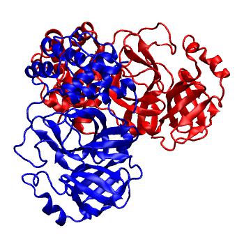 Structure preview of Folding@home molecular dynamics simulations of Diamond Light Source / XChem X-ray structures of small molecule inhibitors of the SARS-CoV-2 main protease from the COVID Moonshot; project 13436, run 156