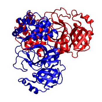Structure preview of Folding@home molecular dynamics simulations of Diamond Light Source / XChem X-ray structures of small molecule inhibitors of the SARS-CoV-2 main protease from the COVID Moonshot; project 13436, run 157