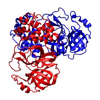 Structure preview of Folding@home molecular dynamics simulations of Diamond Light Source / XChem X-ray structures of small molecule inhibitors of the SARS-CoV-2 main protease from the COVID Moonshot; project 13436, run 189