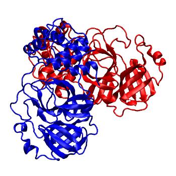 Structure preview of Folding@home molecular dynamics simulations of Diamond Light Source / XChem X-ray structures of small molecule inhibitors of the SARS-CoV-2 main protease from the COVID Moonshot; project 13436, run 18