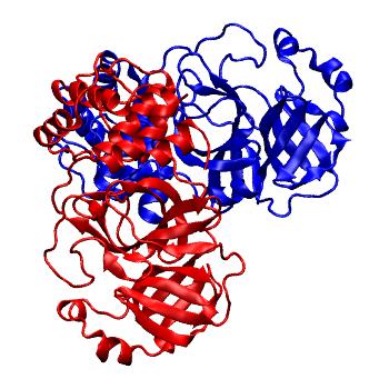 Structure preview of Folding@home molecular dynamics simulations of Diamond Light Source / XChem X-ray structures of small molecule inhibitors of the SARS-CoV-2 main protease from the COVID Moonshot; project 13436, run 192