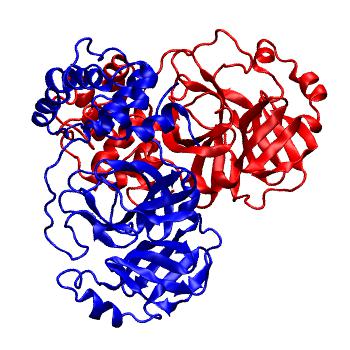Structure preview of Folding@home molecular dynamics simulations of Diamond Light Source / XChem X-ray structures of small molecule inhibitors of the SARS-CoV-2 main protease from the COVID Moonshot; project 13436, run 194