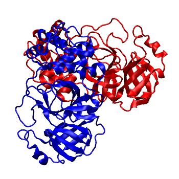 Structure preview of Folding@home molecular dynamics simulations of Diamond Light Source / XChem X-ray structures of small molecule inhibitors of the SARS-CoV-2 main protease from the COVID Moonshot; project 13436, run 195