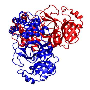 Structure preview of Folding@home molecular dynamics simulations of Diamond Light Source / XChem X-ray structures of small molecule inhibitors of the SARS-CoV-2 main protease from the COVID Moonshot; project 13436, run 196