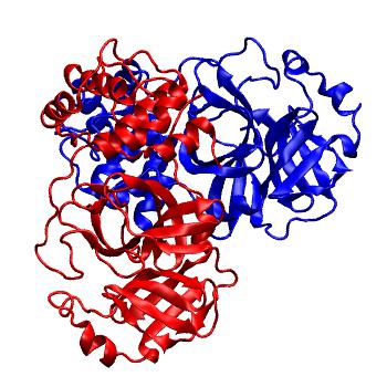 Structure preview of Folding@home molecular dynamics simulations of Diamond Light Source / XChem X-ray structures of small molecule inhibitors of the SARS-CoV-2 main protease from the COVID Moonshot; project 13436, run 198