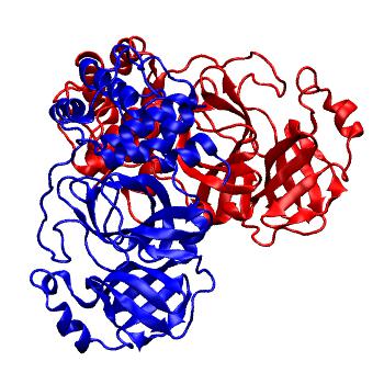 Structure preview of Folding@home molecular dynamics simulations of Diamond Light Source / XChem X-ray structures of small molecule inhibitors of the SARS-CoV-2 main protease from the COVID Moonshot; project 13436, run 19