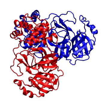 Structure preview of Folding@home molecular dynamics simulations of Diamond Light Source / XChem X-ray structures of small molecule inhibitors of the SARS-CoV-2 main protease from the COVID Moonshot; project 13436, run 1