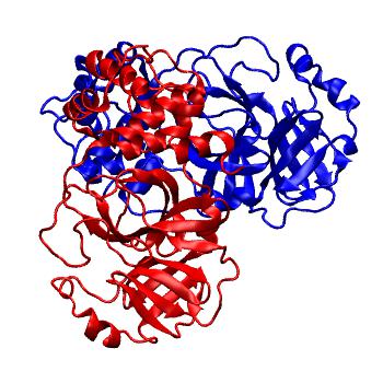 Structure preview of Folding@home molecular dynamics simulations of Diamond Light Source / XChem X-ray structures of small molecule inhibitors of the SARS-CoV-2 main protease from the COVID Moonshot; project 13436, run 204