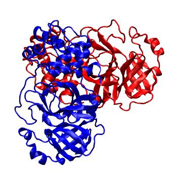 Structure preview of Folding@home molecular dynamics simulations of Diamond Light Source / XChem X-ray structures of small molecule inhibitors of the SARS-CoV-2 main protease from the COVID Moonshot; project 13436, run 205