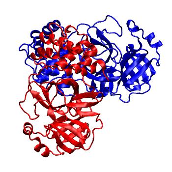 Structure preview of Folding@home molecular dynamics simulations of Diamond Light Source / XChem X-ray structures of small molecule inhibitors of the SARS-CoV-2 main protease from the COVID Moonshot; project 13436, run 207