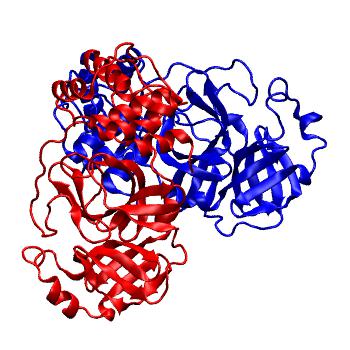 Structure preview of Folding@home molecular dynamics simulations of Diamond Light Source / XChem X-ray structures of small molecule inhibitors of the SARS-CoV-2 main protease from the COVID Moonshot; project 13436, run 208