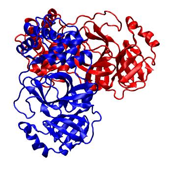Structure preview of Folding@home molecular dynamics simulations of Diamond Light Source / XChem X-ray structures of small molecule inhibitors of the SARS-CoV-2 main protease from the COVID Moonshot; project 13436, run 209
