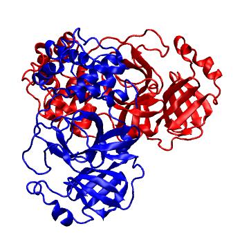 Structure preview of Folding@home molecular dynamics simulations of Diamond Light Source / XChem X-ray structures of small molecule inhibitors of the SARS-CoV-2 main protease from the COVID Moonshot; project 13436, run 210
