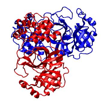 Structure preview of Folding@home molecular dynamics simulations of Diamond Light Source / XChem X-ray structures of small molecule inhibitors of the SARS-CoV-2 main protease from the COVID Moonshot; project 13436, run 211