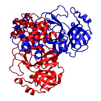 Structure preview of Folding@home molecular dynamics simulations of Diamond Light Source / XChem X-ray structures of small molecule inhibitors of the SARS-CoV-2 main protease from the COVID Moonshot; project 13436, run 212