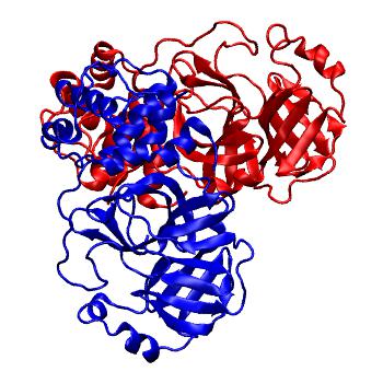 Structure preview of Folding@home molecular dynamics simulations of Diamond Light Source / XChem X-ray structures of small molecule inhibitors of the SARS-CoV-2 main protease from the COVID Moonshot; project 13436, run 213