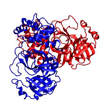 Structure preview of Folding@home molecular dynamics simulations of Diamond Light Source / XChem X-ray structures of small molecule inhibitors of the SARS-CoV-2 main protease from the COVID Moonshot; project 13436, run 214
