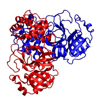 Structure preview of Folding@home molecular dynamics simulations of Diamond Light Source / XChem X-ray structures of small molecule inhibitors of the SARS-CoV-2 main protease from the COVID Moonshot; project 13436, run 215