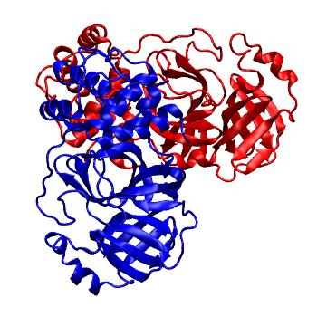 Structure preview of Folding@home molecular dynamics simulations of Diamond Light Source / XChem X-ray structures of small molecule inhibitors of the SARS-CoV-2 main protease from the COVID Moonshot; project 13436, run 217