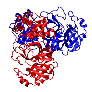 Structure preview of Folding@home molecular dynamics simulations of Diamond Light Source / XChem X-ray structures of small molecule inhibitors of the SARS-CoV-2 main protease from the COVID Moonshot; project 13436, run 218
