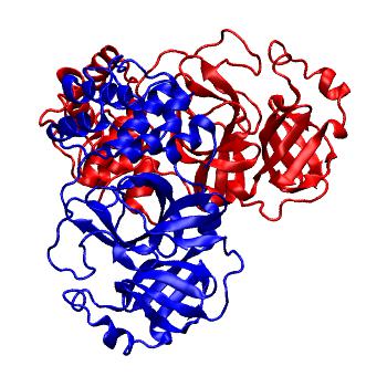 Structure preview of Folding@home molecular dynamics simulations of Diamond Light Source / XChem X-ray structures of small molecule inhibitors of the SARS-CoV-2 main protease from the COVID Moonshot; project 13436, run 21
