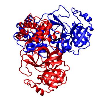Structure preview of Folding@home molecular dynamics simulations of Diamond Light Source / XChem X-ray structures of small molecule inhibitors of the SARS-CoV-2 main protease from the COVID Moonshot; project 13436, run 221