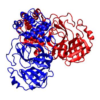 Structure preview of Folding@home molecular dynamics simulations of Diamond Light Source / XChem X-ray structures of small molecule inhibitors of the SARS-CoV-2 main protease from the COVID Moonshot; project 13436, run 225