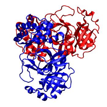 Structure preview of Folding@home molecular dynamics simulations of Diamond Light Source / XChem X-ray structures of small molecule inhibitors of the SARS-CoV-2 main protease from the COVID Moonshot; project 13436, run 226