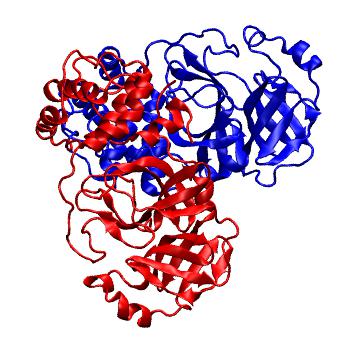 Structure preview of Folding@home molecular dynamics simulations of Diamond Light Source / XChem X-ray structures of small molecule inhibitors of the SARS-CoV-2 main protease from the COVID Moonshot; project 13436, run 227