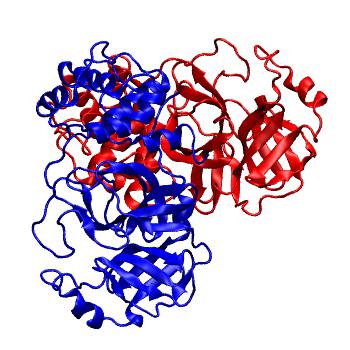 Structure preview of Folding@home molecular dynamics simulations of Diamond Light Source / XChem X-ray structures of small molecule inhibitors of the SARS-CoV-2 main protease from the COVID Moonshot; project 13436, run 228