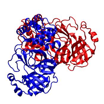 Structure preview of Folding@home molecular dynamics simulations of Diamond Light Source / XChem X-ray structures of small molecule inhibitors of the SARS-CoV-2 main protease from the COVID Moonshot; project 13436, run 22
