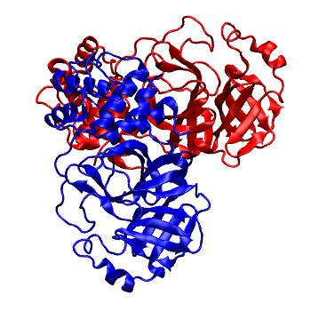 Structure preview of Folding@home molecular dynamics simulations of Diamond Light Source / XChem X-ray structures of small molecule inhibitors of the SARS-CoV-2 main protease from the COVID Moonshot; project 13436, run 230