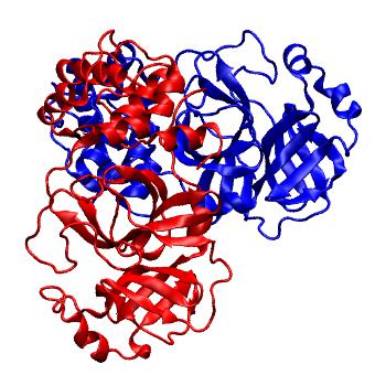 Structure preview of Folding@home molecular dynamics simulations of Diamond Light Source / XChem X-ray structures of small molecule inhibitors of the SARS-CoV-2 main protease from the COVID Moonshot; project 13436, run 232